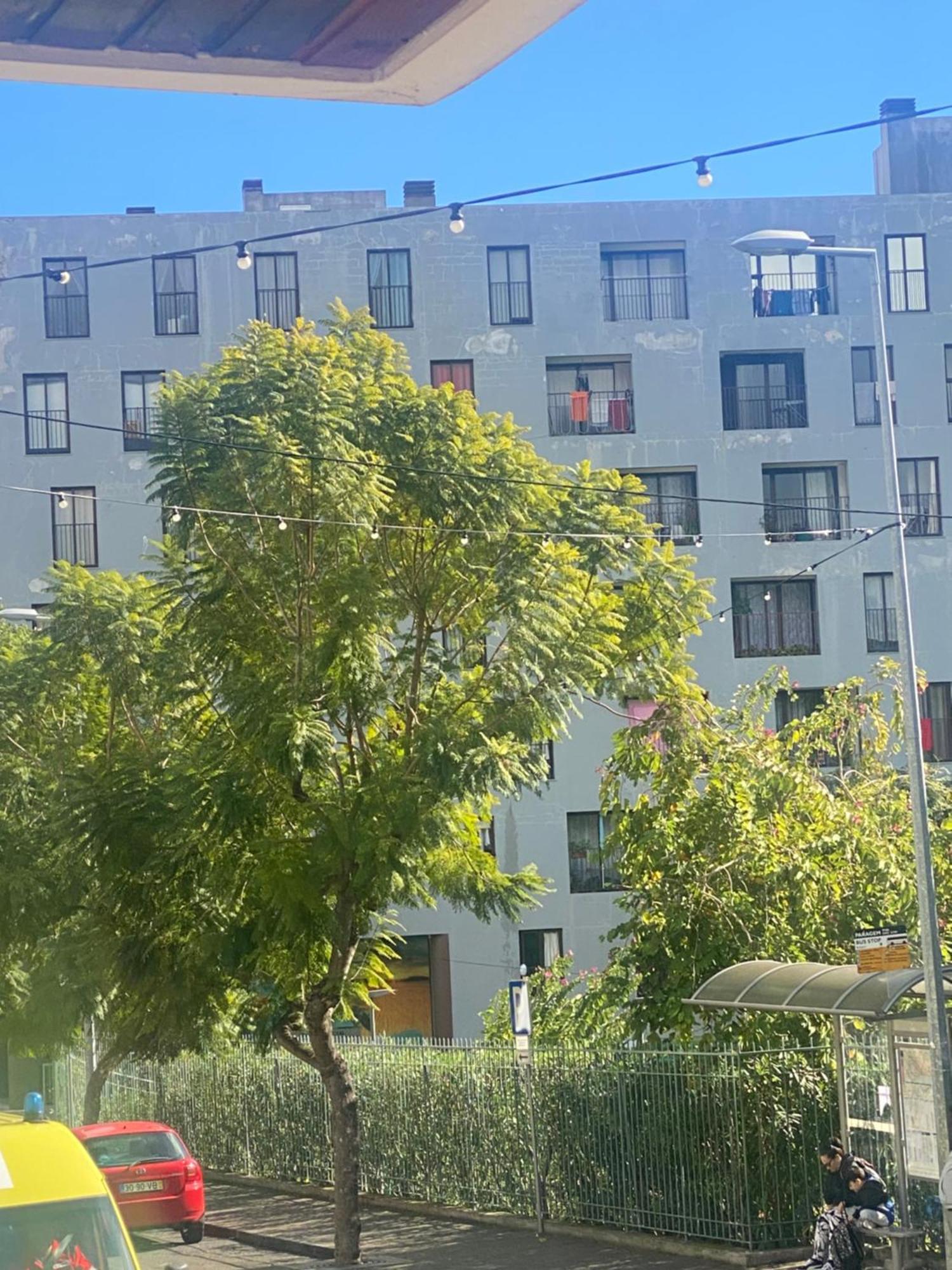 Funchal Varzea Park Apartment Exterior photo